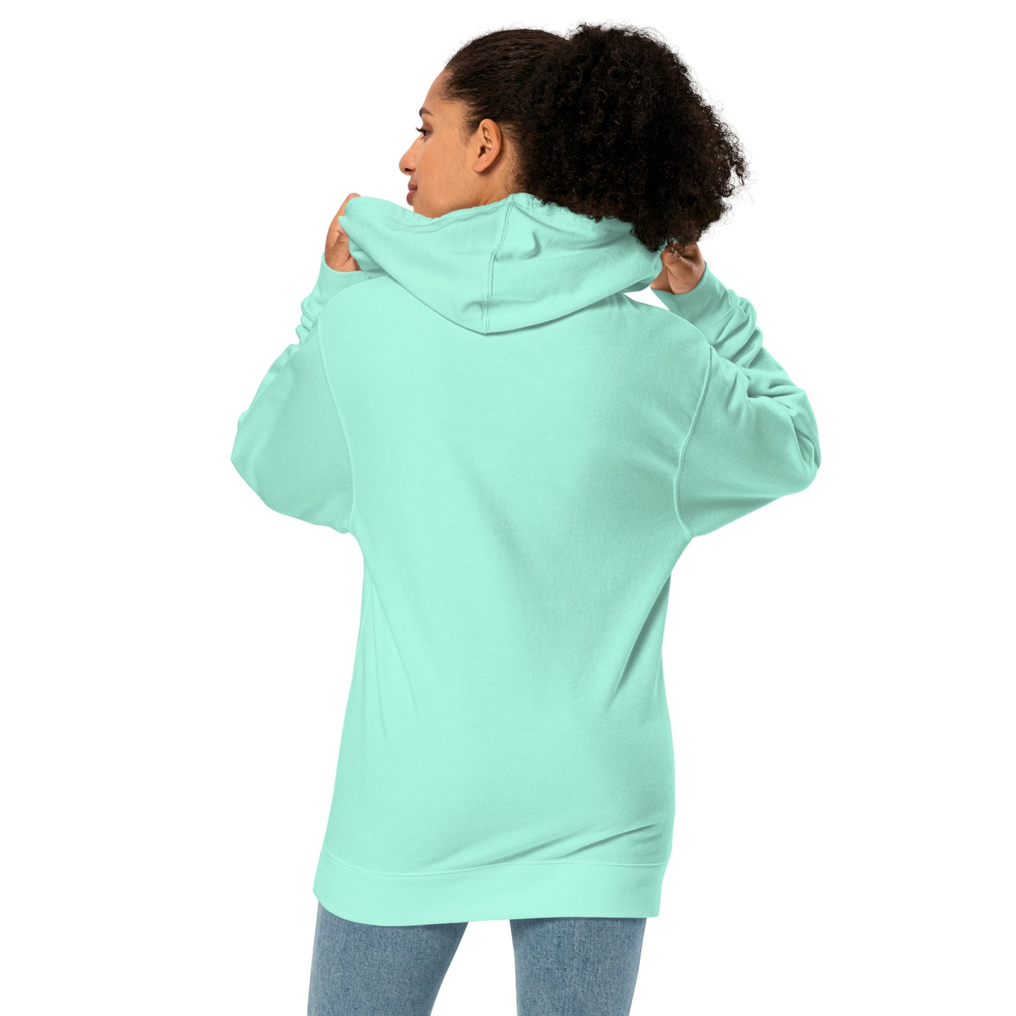 Anchored Soul Embroidered Midweight Lake Hoodie